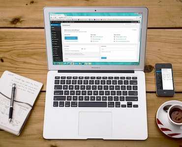 WordPress Design & Development